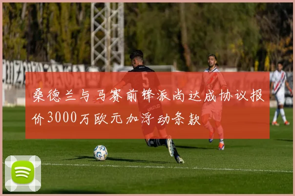 桑德兰与马赛前锋派尚达成协议报价3000万欧元加浮动条款