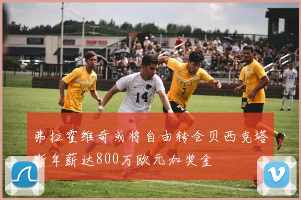 弗拉霍维奇或将自由转会贝西克塔斯年薪达800万欧元加奖金